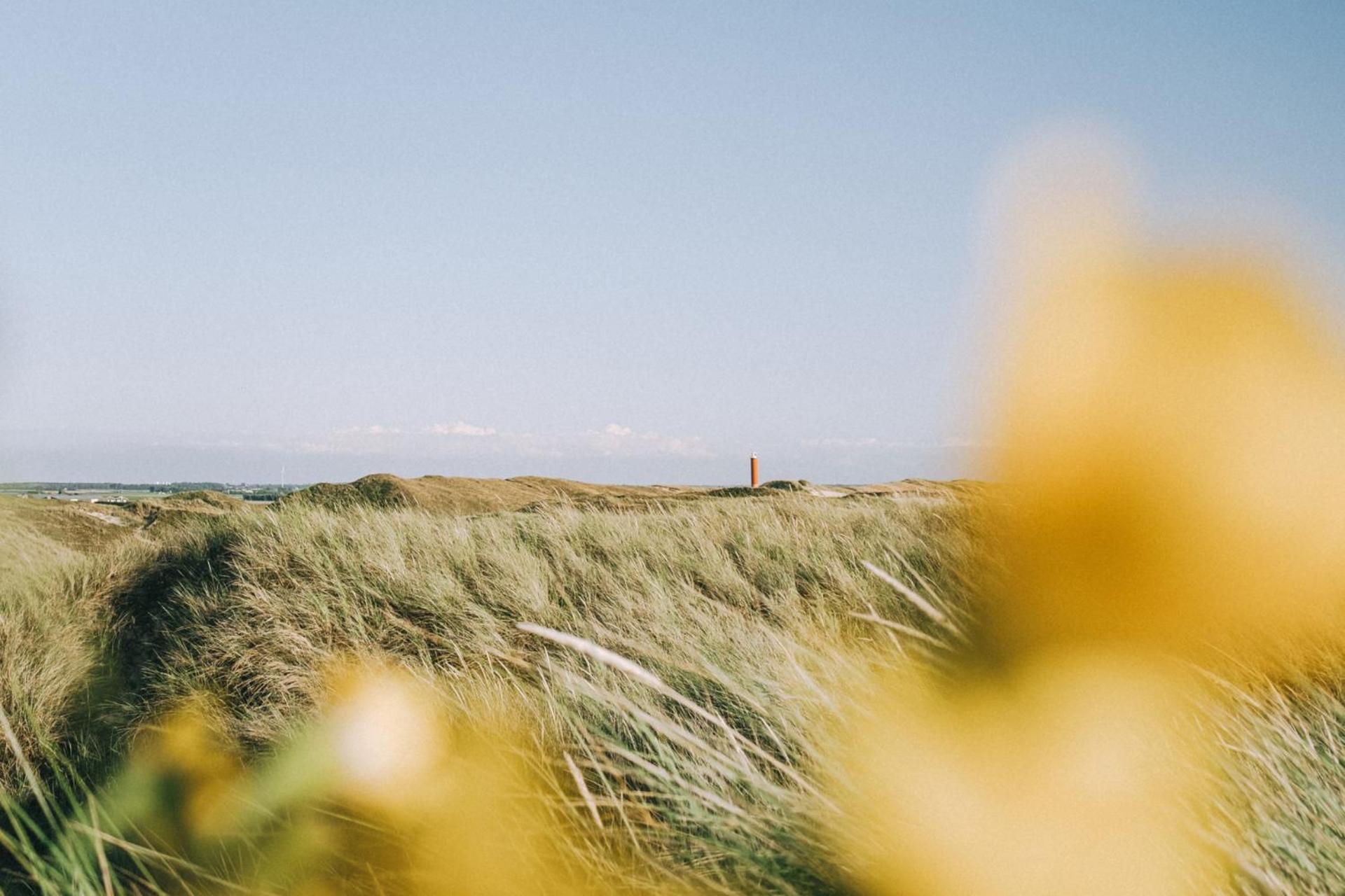 Beach Appartement 27 - Aan De Duinen, Callantsoog Aan Zee Esterno foto